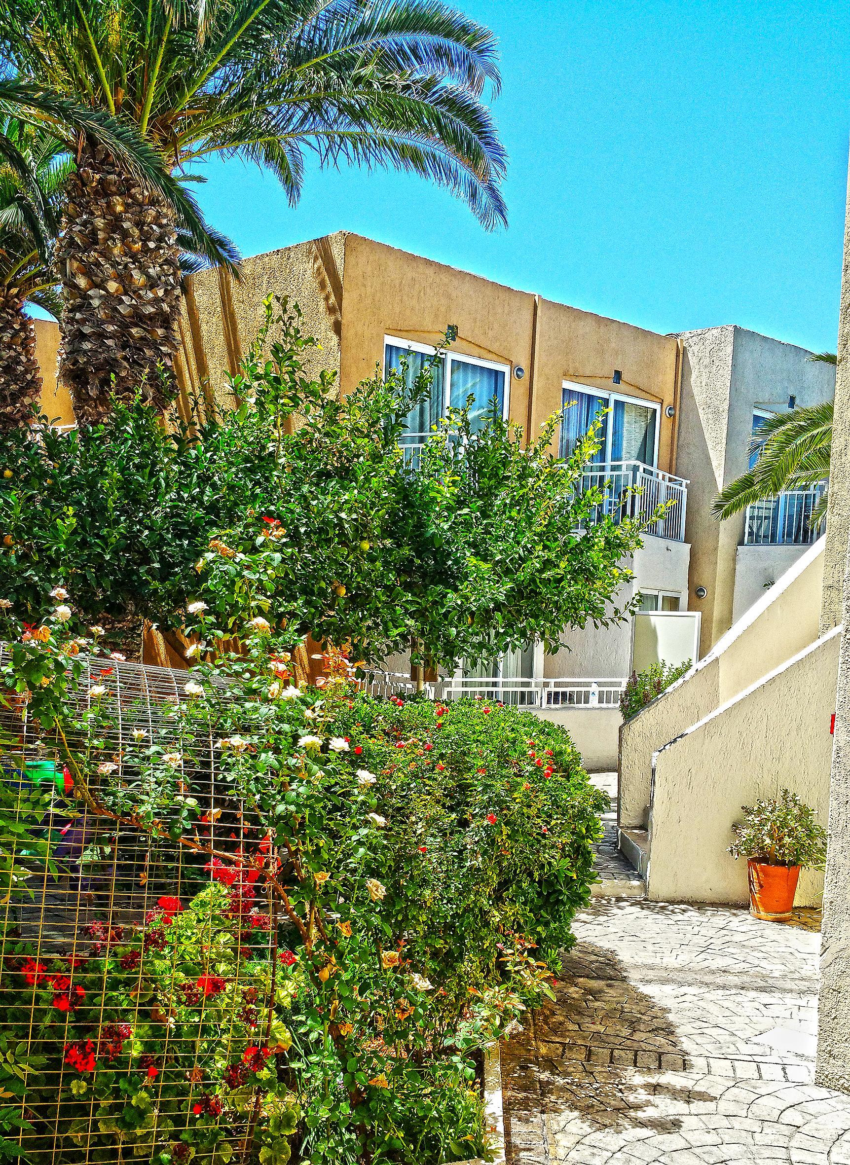 פלטאנס Nefeli Hotel מראה חיצוני תמונה